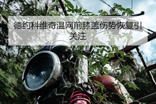 德约科维奇温网前膝盖伤势恢复引关注